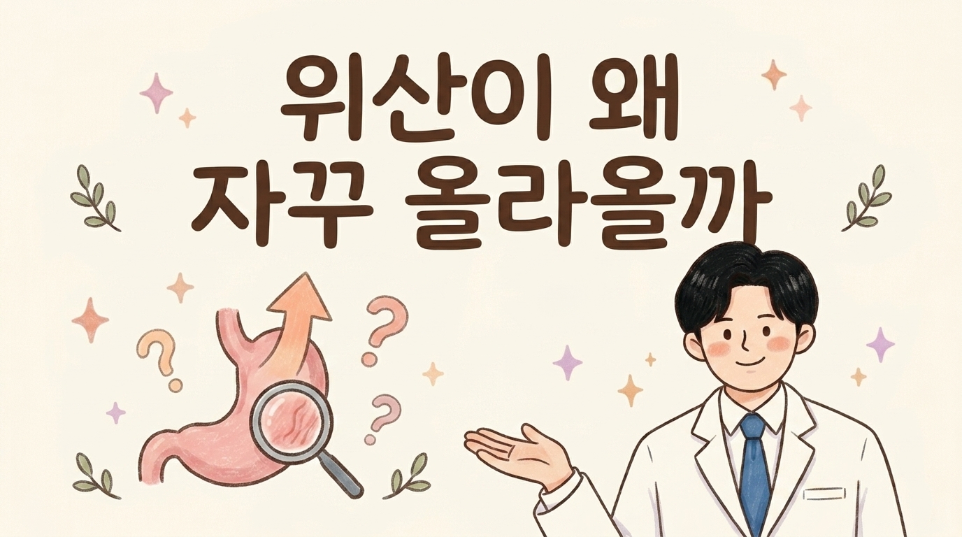 위산이 왜 자꾸 올라올까 — 역류성 식도염의 원인 (양방과 한의학의 시선)